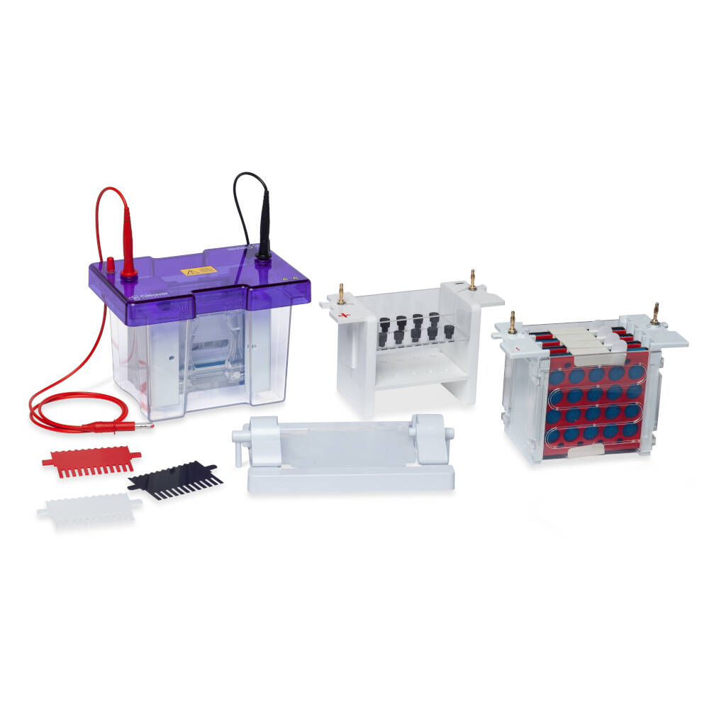 Vertical Gel Electrophoresis System, CVS10CBS
