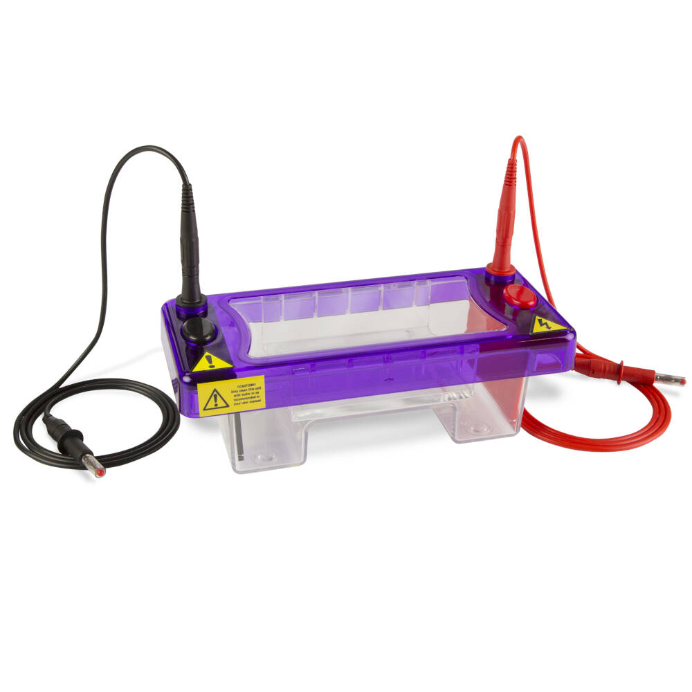 Horizontal Gel Electrophoresis System, MSMINI7