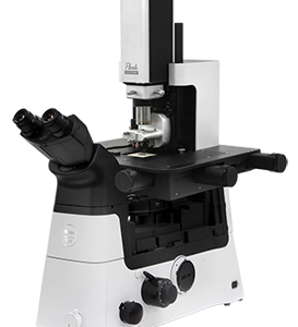 Park NX12 – Atomic Force Microscope